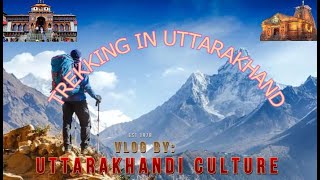 Trekking in Uttarakhand | पीपलचौर से ज्योलियामांग !