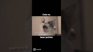 Cats vs. laser pointer