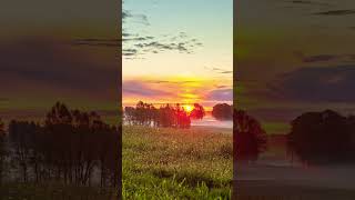 Timelapse of beautiful Grassland #beautiful #grass #sunset #sunsetview #clouds #fog #relaxing #calm