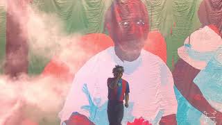 Kendrick Lamar & Baby Keem - Family Ties (Live) @ Bonnaroo Music Festival