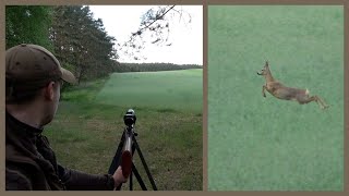 Spannende Pirsch auf den „Alten Bekannten“