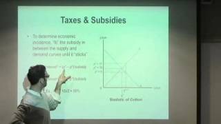 NEIU ECON Lecture Series 6 (Part 8): Deadweight Loss of Taxation