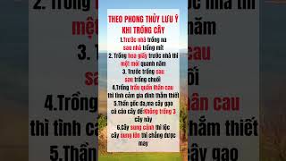 Lưu ý khi trồng cây trong phong thủy