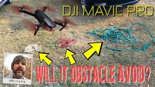 DJI MAVIC PRO - OBSTACLE AVOIDANCE - HOW SENSITIVE IS IT?