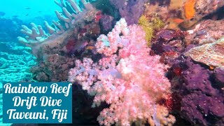 Rainbow Reef Drift Diving in Taveuni, Fiji