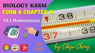 13.1 Homeostasis