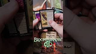 Bloomburrow Play Booster Pack #17 - Coldpaw wins off the YT Short Giveaways!