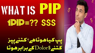 What is PIP| how to calculate PIPs | 1 or 10 or 100PIP??=$?? #currencypairs #forextrading