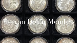 1902 NEW ORLEANS - GRADE COMPARISON - “MORGAN DOLLAR MONDAYS” with MASSABESIC GOLD and SILVER