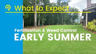 Early Summer Lawn Application   HD 720p