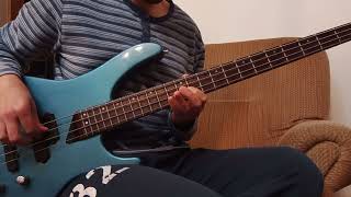 These Are The Ways - Red Hot Chili Peppers (Raw Bass Cover)