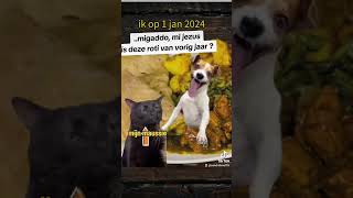 #fyp #voorjou #funnyvideo #fun #funnyshorts #memes #funny #shortvideo #tiktokviral #tiktok #viral