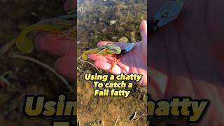 Using a chatty to catch a fall fatty #FishingDowntownDenver #FishingColorado #BassFishing