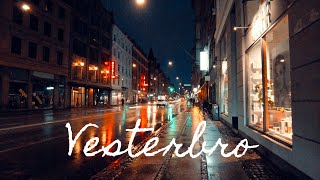 Vesterbro, Copenhagen 🇩🇰 Central Station, Istedgade Hipster Area Rainy Walk 4k January 2022