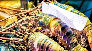 Hua Hin Night Market + Giant Rainbow Lobsters & Local Seafood in Thailand