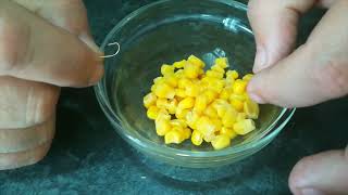 Jak prawidłowo zakładać kukurydzę na haczyk. How to properly hook corn. 如何正确钩玉米。 把玉米挂在钩子上