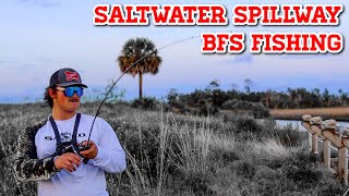 BFS Fishing A Saltwater Spillway! (Ultralight Fishing)