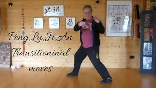 The 3rd in the series about learning  Tai chi video, Peng, Lu, Ji, An