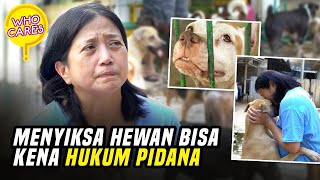 UU KEKERASAN TERHADAP HEWAN HARUS DIPERBAIKI, INI PERJUANGAN PEJATEN SHELTER | ANIMAL CARE