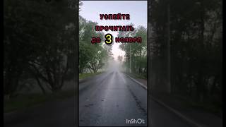 Шопоток на ноябрь месяц🤫🔥не забывайте написать комментарий🔥 гадание онлайн таро ритуал заговор