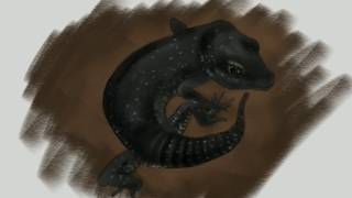 Painting a random gecko in Autodesk Sketchbook (no sound)