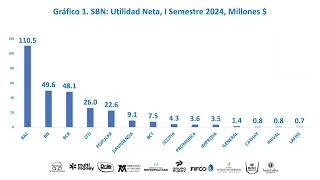 Resumen de Ejecutoria del Sistema Bancario Nacional, I Semestre 2024. Gerardo Corrales