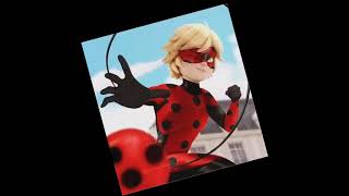 Miraculous Ladybug (little short) who do u like better?