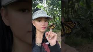 Bella Poarch holding a butterfly 🦋 tiktok video