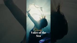 Enjoy the mesmerizing movements in this music video✨ #voiceofthesea #soundsofnature #aquaria