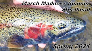 Indiana Tributary Steelhead: March Madness Spinner Steel 3/14/21