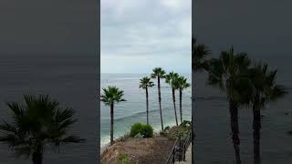 Laguna Beach. CA