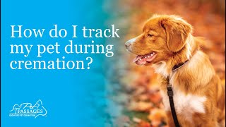 How do I track my pet during cremation?