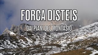 Forca dei Disteis - JôF DI MONTASIO