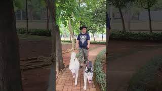 #shortvideo #shorts #jalan-jalan bersama mante dan bonzo...