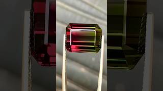 Bi-Color Tourmaline || #short #shortvideo #gemstone #quartz #shorts #stone