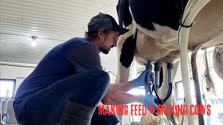 Making Feed & Milking Cows ( Featuring- Cow Of The Day ) @DairyfarmersCa