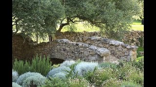 Trophée des Domaines - Murtoli 2018