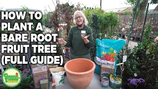 How To Plant A Bare Root Fruit Tree (Everything You Need To Know For A Bountiful Healthy Crop)