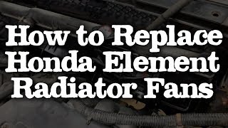 How to Replace Honda Element Radiator Fans the Easy Way