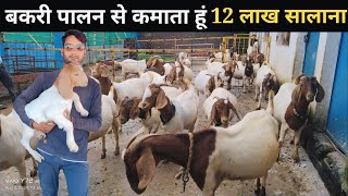 मजदूर भाई का बकरी पालन कमाई 12 लाख सालाना | Boer Goat Farming #goatfarming