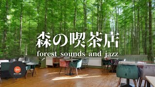 環境音+JAZZ 優しい森の喫茶店  川のせせらぎ 鳥のさえずり 森の中の音でリラックス 作業/勉強にも CAFE MUSIC - 作業用BGM☕