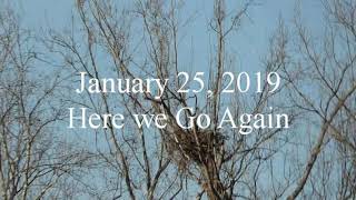 January 25 2019 Eagle Nest finishing touchesl