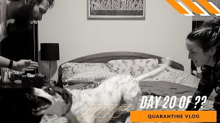 Quarantine Vlog Day 20 | spring has arrived & greg flips his dog