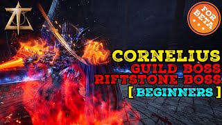 Quick Guide - Cornelius - Guild Raid - Throne And Liberty