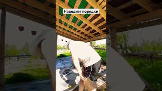 Развлекаемся как можем)🛁#жизньвдеревне #заручевье #деревенскаяжизнь #чисткаковров #чистота