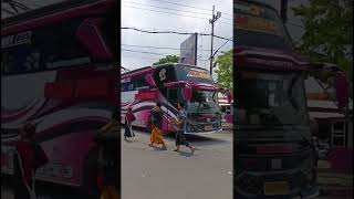 BASURI V3 Meramaikan Kawasan Sunan Ampel ||Rosan Prima #shorts #basuri #bismania #busmania