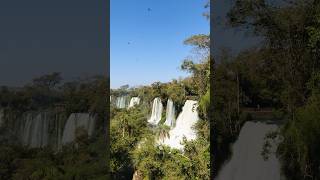 🇦🇷Argentina🇦🇷 Iguazu Falls #argentina #waterfall #nature #travel #explore #relaxing #viewpoint