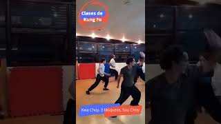 Clases de Kung Fu Short: Técnica fundamental del Choy Li Fat