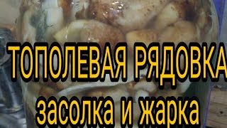 Соленье и жарка тополинной рядовки,  подтопольника