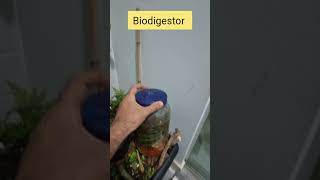 biodigestor